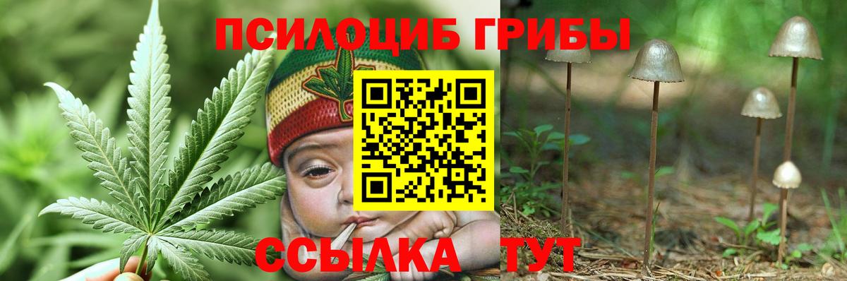 Малгобек  Галлюциногенные грибы Cubensis  Вход с VPN 